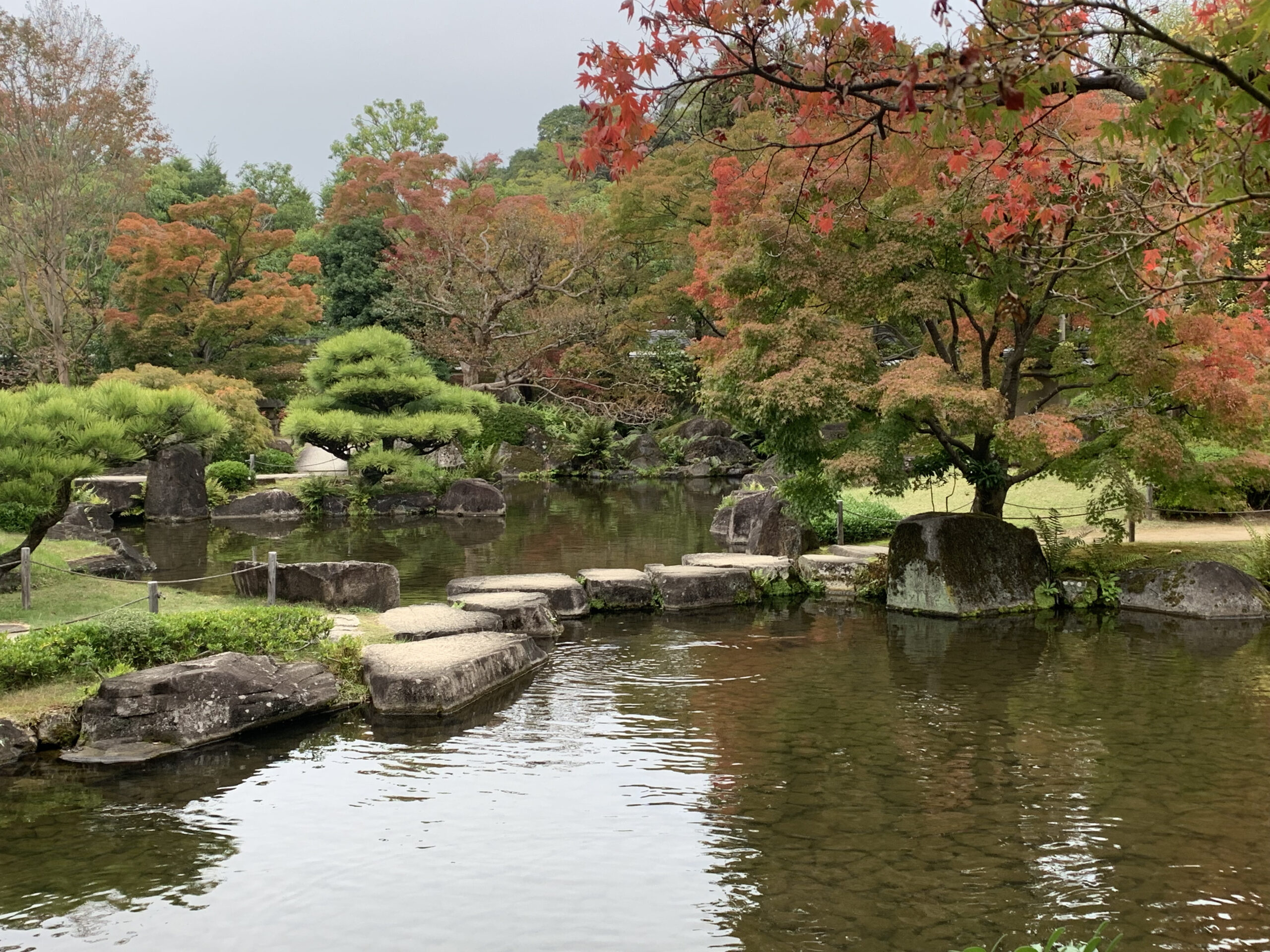 姫路城周辺の日本庭園の紅葉と飛び石