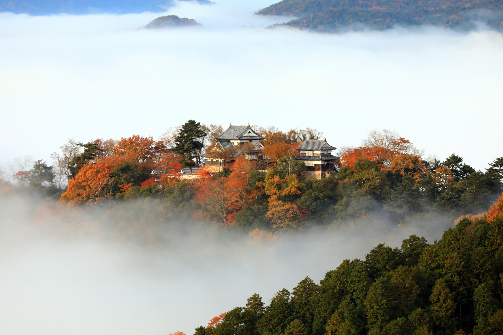 備中松山城雲海
